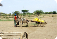 CONVOCATORIA DE PROYECTOS PARA EL CAMBIO ORGANIZACIONAL Y GÉNERO EN ONG