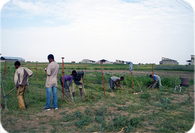 AYUDAS A COOPERANTES VASCOS