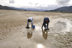 'CC BY-3.0-ES 2012/EJ-GV/Irekia-Gobierno Vasco/Mikel Arrazola'