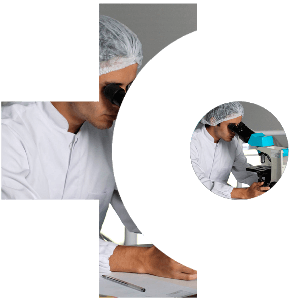 Docencia y formaci&oacute;n especializada