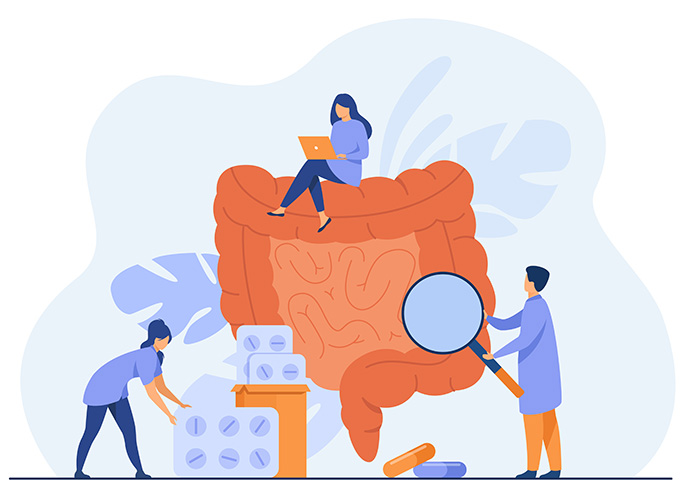 Imagen del intestino grueso vigilado por profesionales