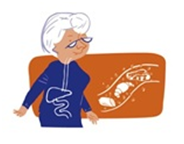 Pertsona eta digestio ona