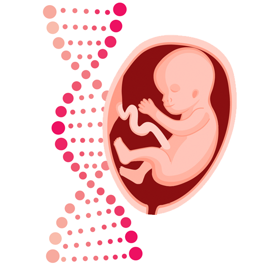 Sindrome de cribado prenatal