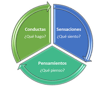 Componentes de las emociones