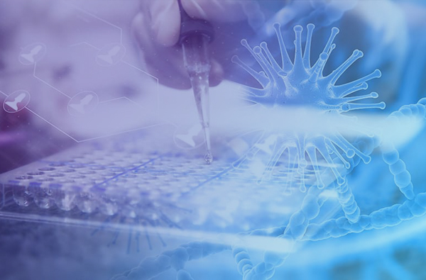 STI bat izan dezakezula sumatzen baduzu