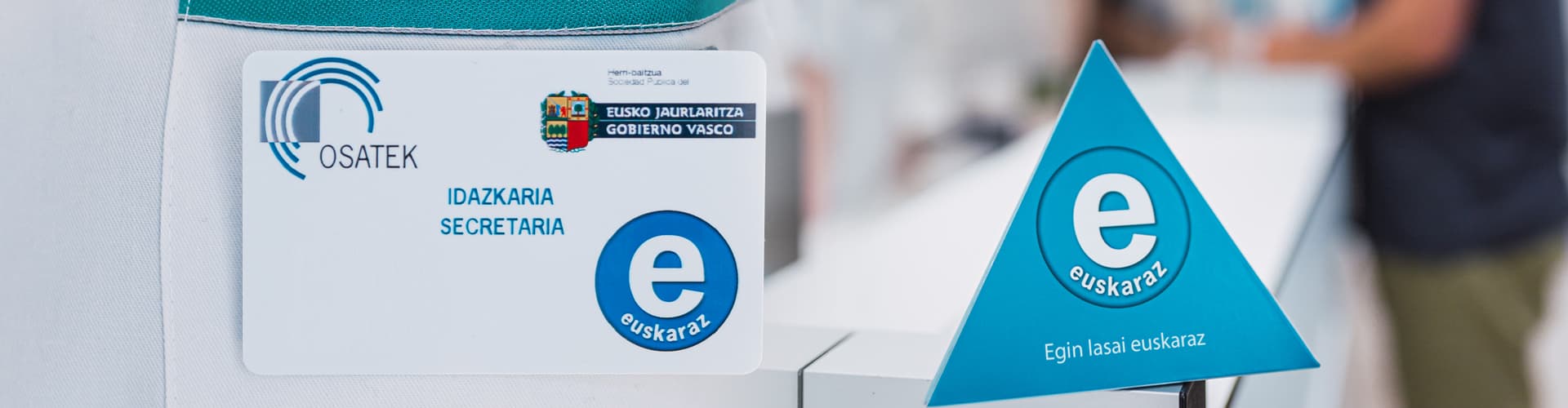 Euskararen erabilera