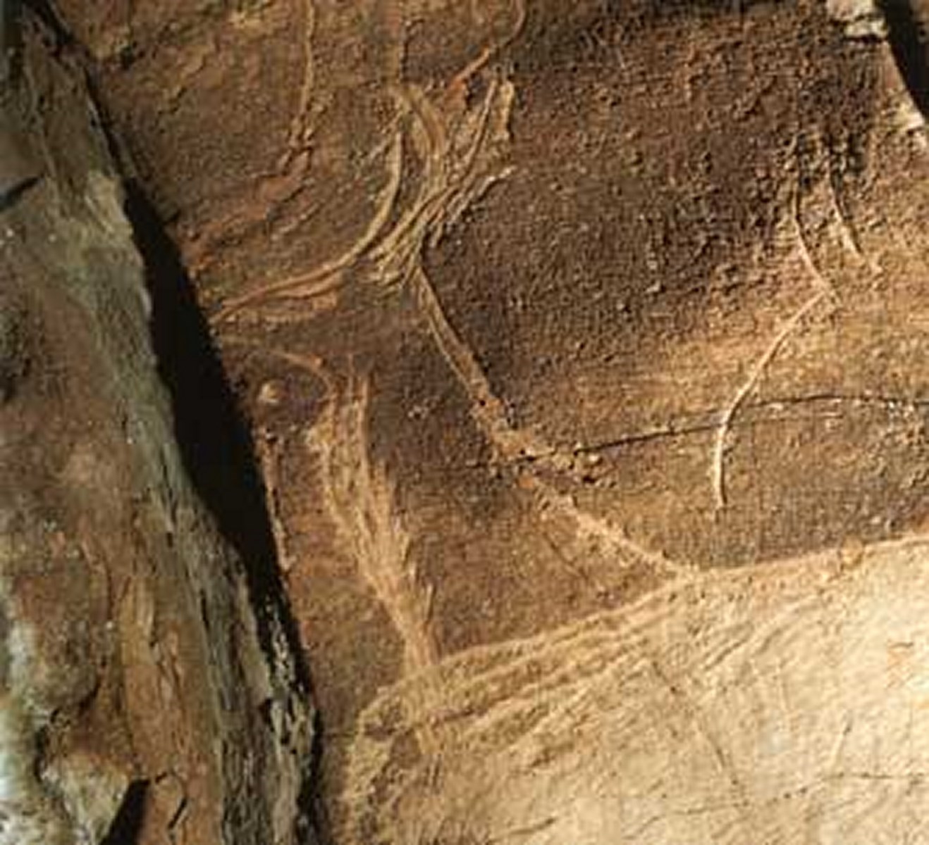 Dibujo de un Saiga grabado en la cueva de Altxerri