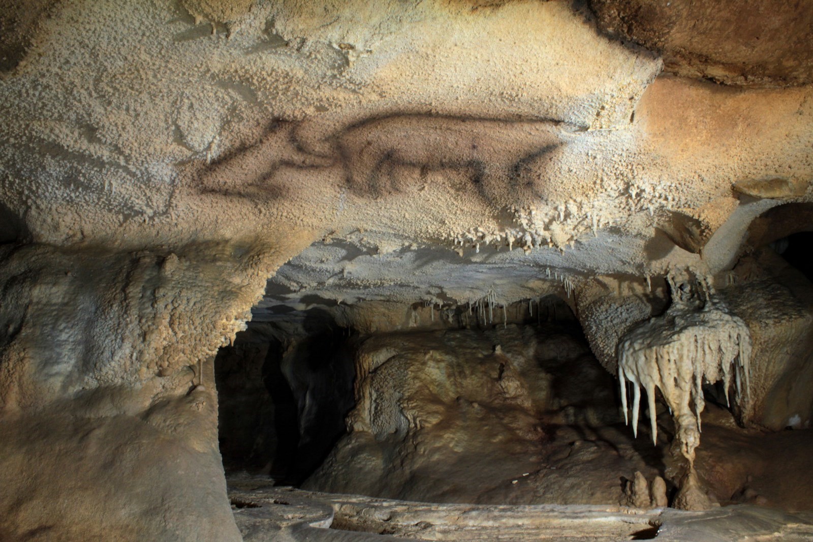  Dibujo de dos osos en la cueva de Ekain