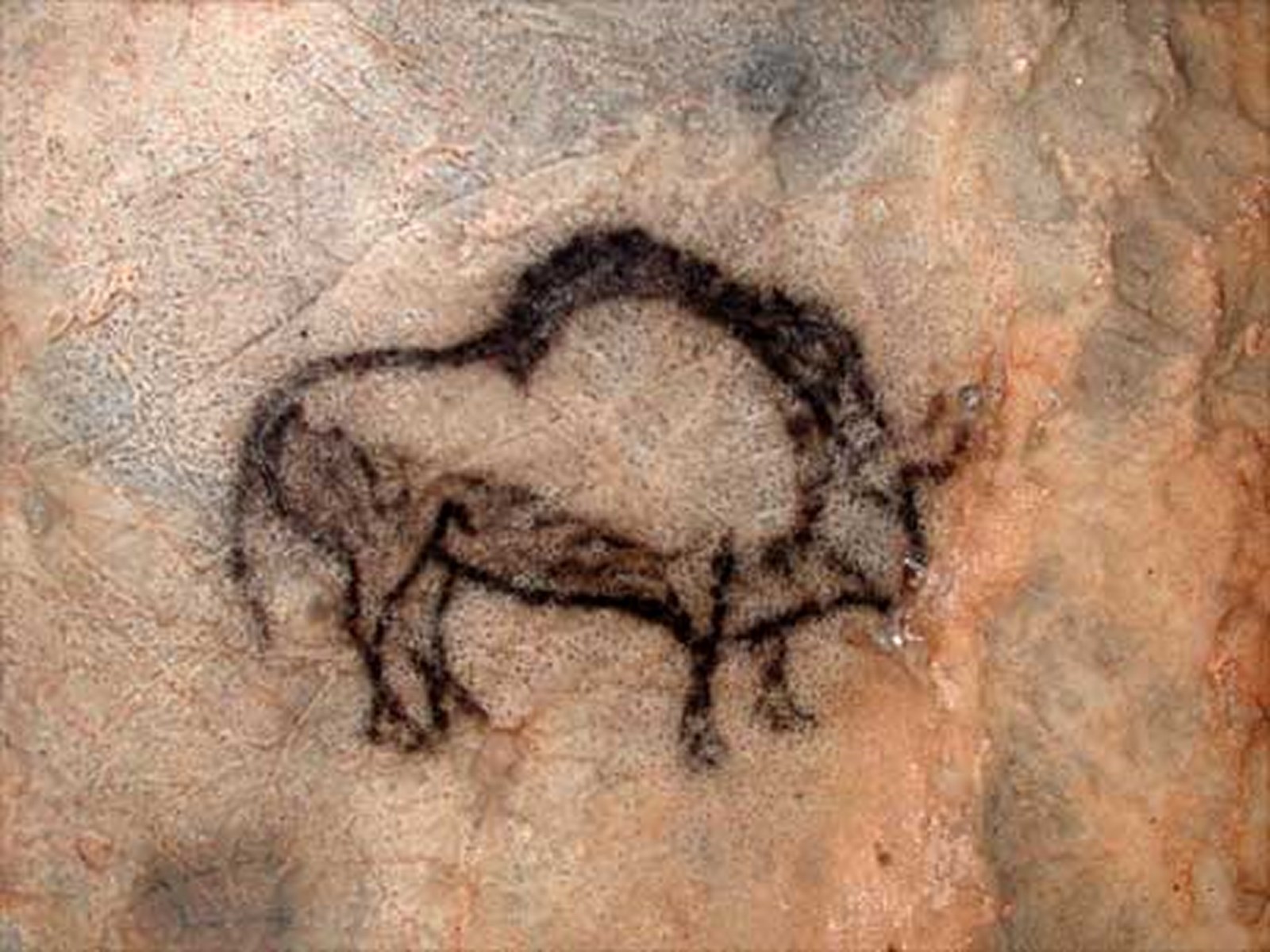 Dibujo de un bisonte en la cueva de Santimamiñe