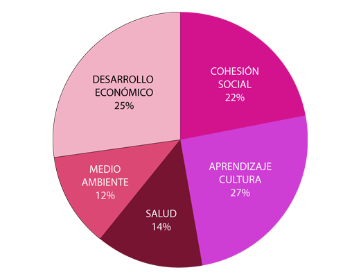 Cohesi&oacute;n social 11%, Desarrollo econ&oacute;mico 8%, Medio ambiente 6%, Salud 4%, Transversal 14%