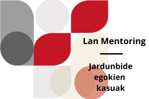 Casos practicos lan mentoring