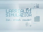 Larrialdi Simulazioa bideoa