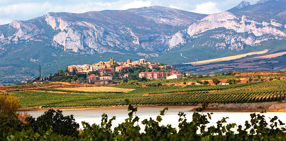 Imagen del camino ignaciano