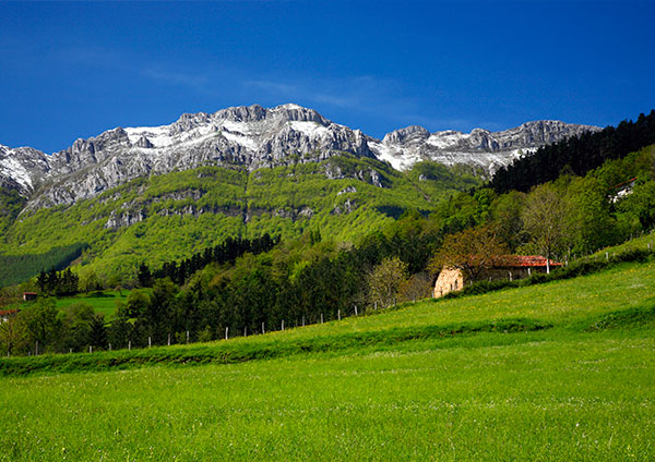 Camino interior primera imagen detalle