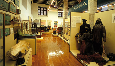 Museo del Pescador