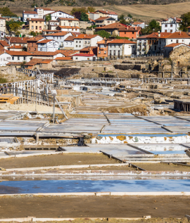 Salinas de A&ntilde;ana