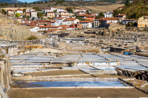 Salinas de A&ntilde;ana