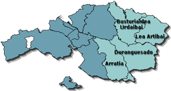 Mapa de zonas de Inspección de Bizkaia - Zona 1