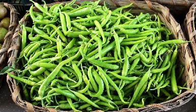 Guindillas de Ibarra