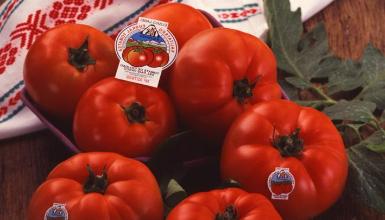 Tomates de calidad del Pa�s Vasco