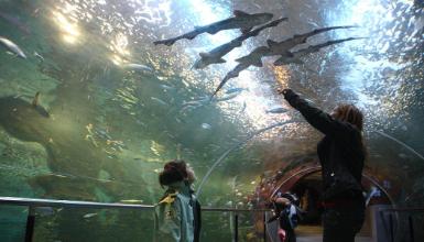 San Sebasti�n Aquarium