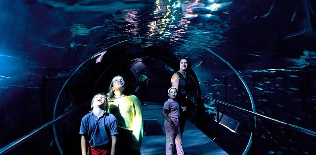 Aquarium de San Sebasti�n