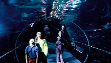 Aquarium de San Sebasti�n