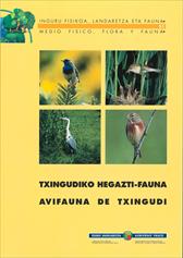 Txingudiko hegazti-fauna