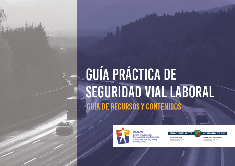 Gu&iacute;a pr&aacute;ctica de seguridad vial laboral