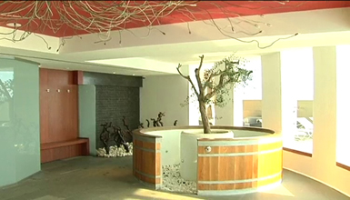 Wine Oil Spa Villa de Laguardia