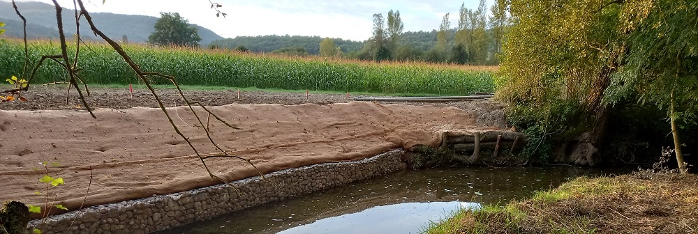 Actuación de restauración de cauces  margen izquierda del río Barrundia