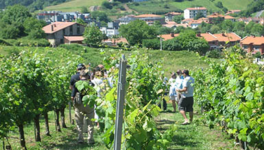 Txakolina