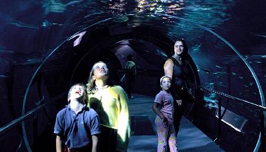 Aquarium - Donostia / San Sebasti&aacute;n