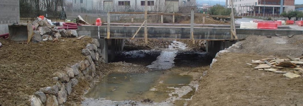 Hodiak zangan kokatzen