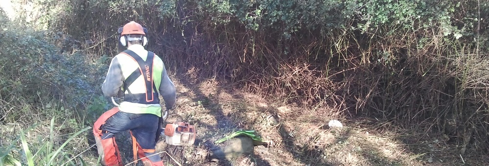 Trabajos de desbroce