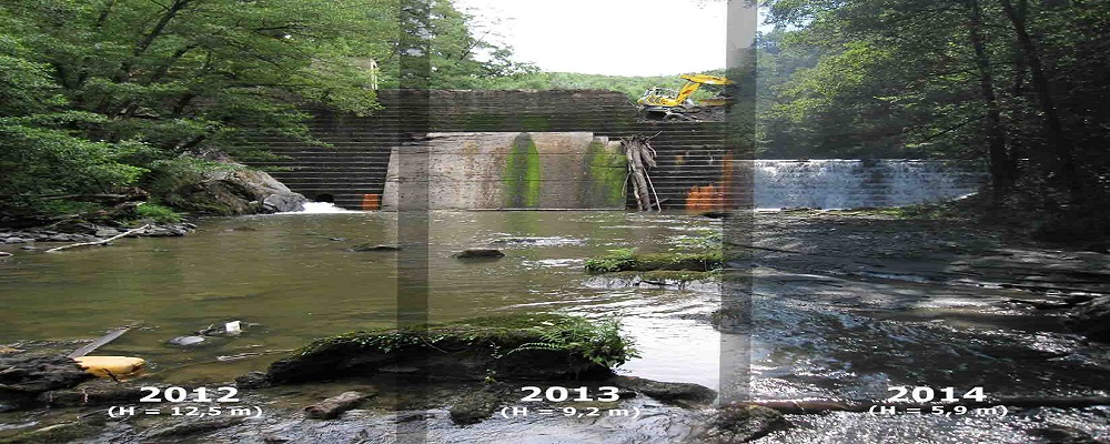 Inturia presaren eraisketa lanak