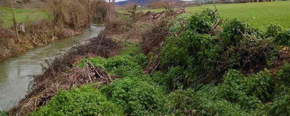 Revegetaci&oacute;n de riberas en el r&iacute;o Ihuda (Ayuda)