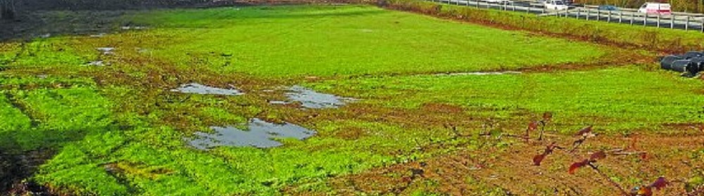 Zarauzko Errotaberriko industria-gunea