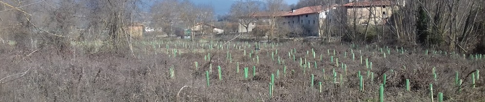Landaketa lanak Arabako ibaiertzetan