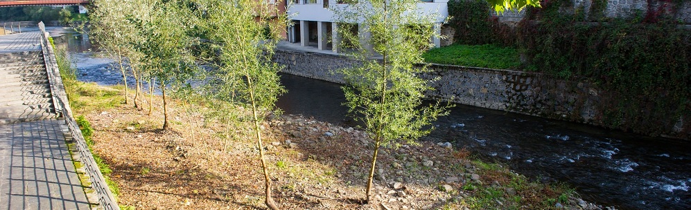 Los trabajos de restauración del rio Leitzaran y su cauce se extenderán durante el otoño