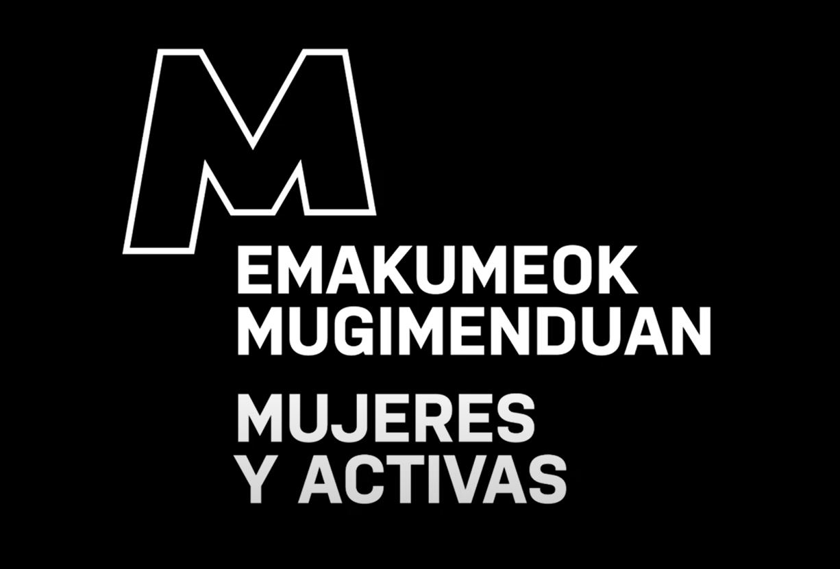 Irudia Bideo sorta zirikatzailea