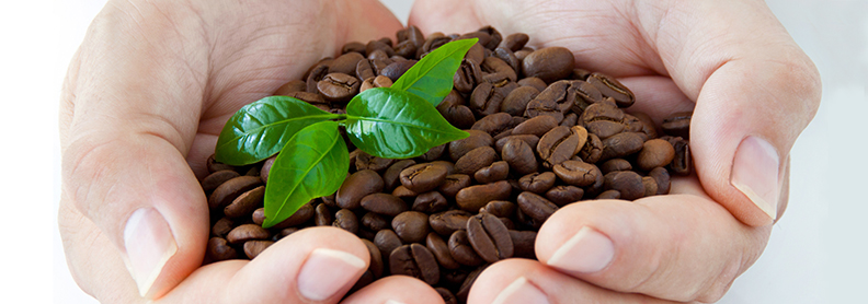 Bidezko merkataritza