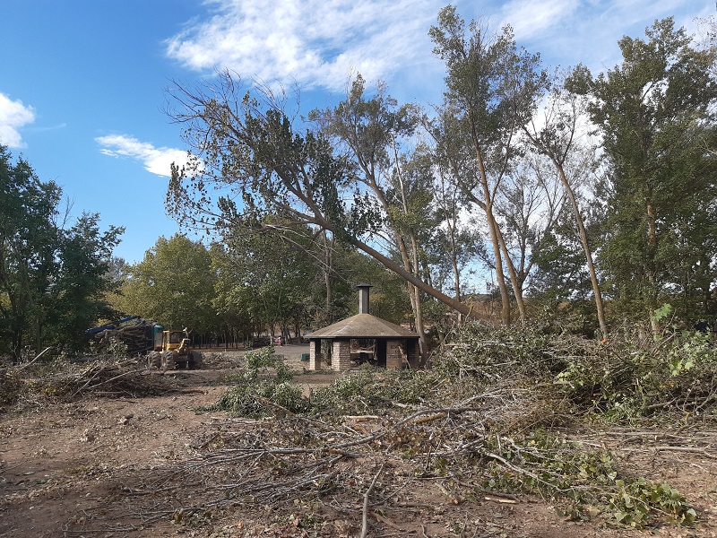 Makal eta platanondoen mozketa Oionen