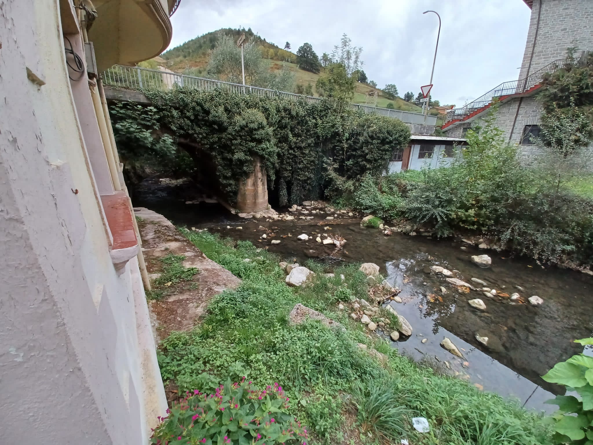 Ermuako kolektoreko lanak