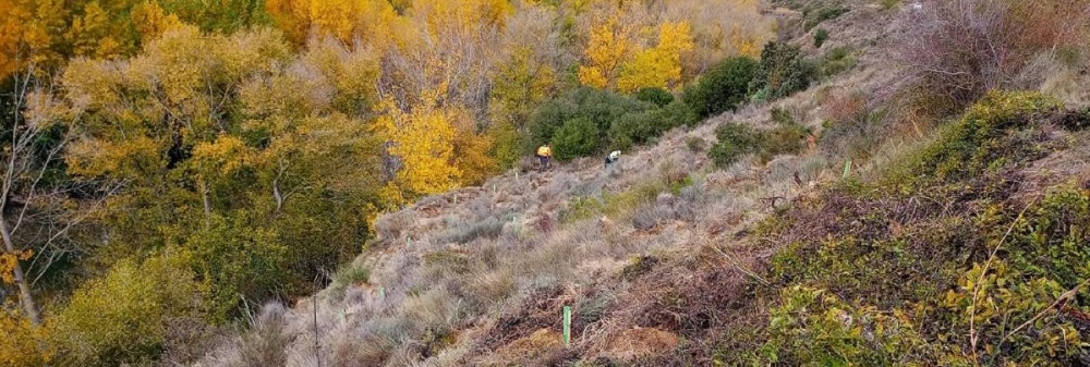 Trabajos de restauraci&oacute;n en Labastida