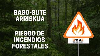 
      n770_Incendios_Forestales__3__-_copia.jpg
    