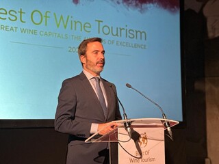 Imagen del artículo El Consejero de Turismo, Comercio y Consumo participa en la entrega de premios Best of 2024 de turismo vitinícola Great Wine Capitals Global Network