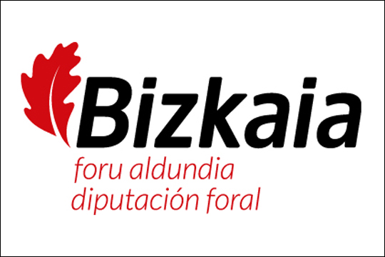 Subvenciones de la Diputación Foral de Bizkaia destinadas a la realización de actividades culturales por parte de Ayuntamientos de Bizkaia de menos de 6.000 habitantes, durante el ejercicio 2024