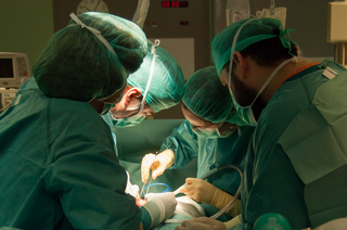 Imagen del artículo Euskadi continúa a la vanguardia en donación y trasplante de órganos y tejidos