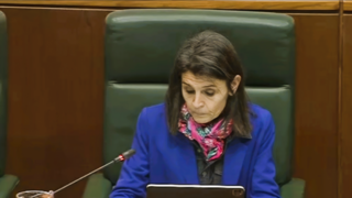 
      melgosa-parlamento.png
    